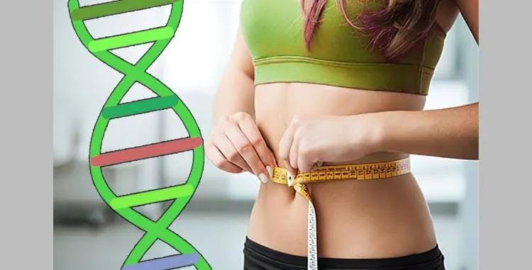 Unlocking the secrets of your DNA: Harnessing the power of genetics to find the best weight management strategy